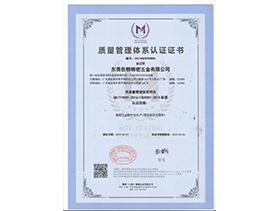 IS09001:2015質（zhì）量管理體係認證